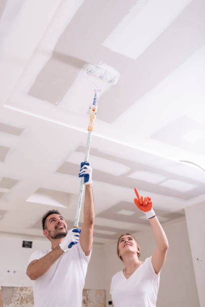 Best Ceiling Drywall Installation  in Baileys Crossroads, VA